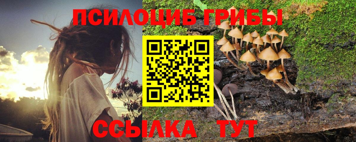 Гусев  Галлюциногенные грибы мицелий  купить  цена  Галлюциногенные грибы Cubensis  Вход с VPN 